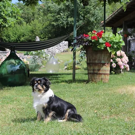 Holiday home Mavrici, Neighbors Free *
